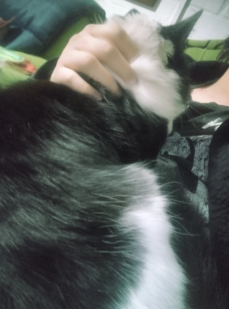 Image uploaded by kenneth