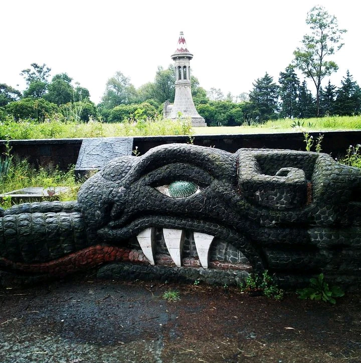 Image uploaded by Liz