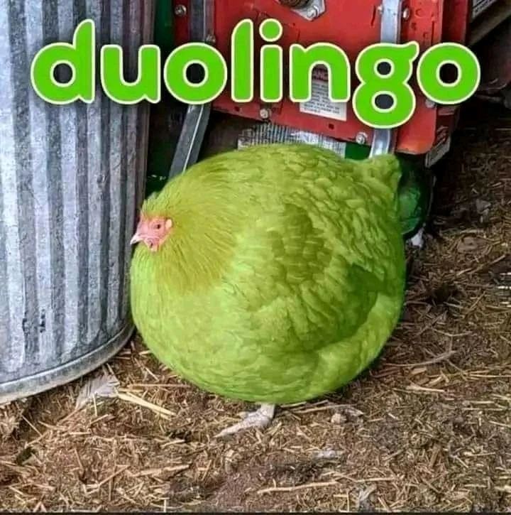 Качено от Stef