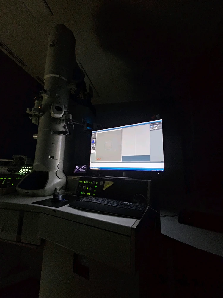 Image uploaded by Kafeel