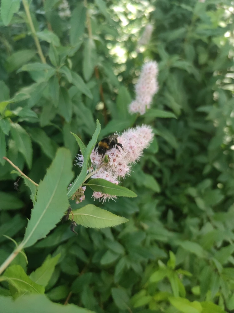 Фото загрузил Настя