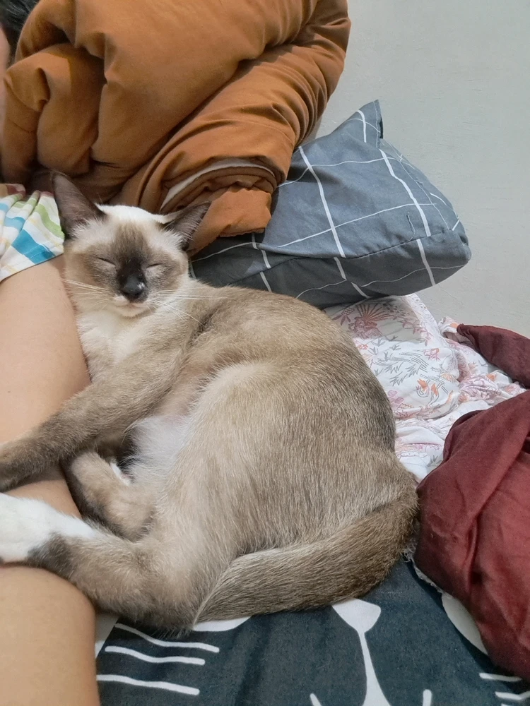 Image uploaded by Nunu