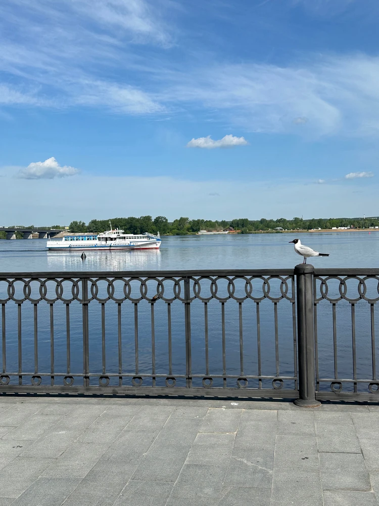 Image ajoutée par Diana