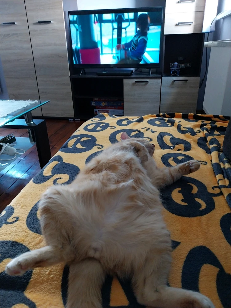 Obrázek nahrál Štěpánka H.