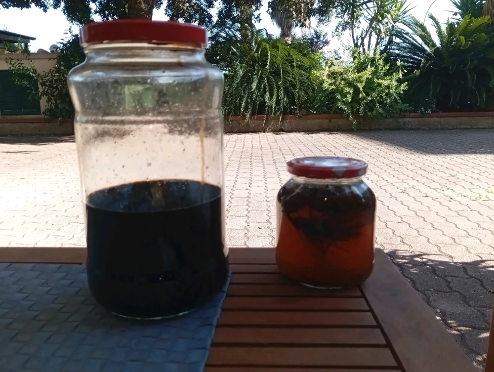 Immagine caricata da Lorenzo