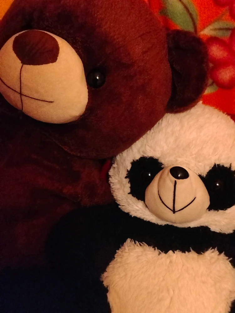 Image uploaded by Zyriel