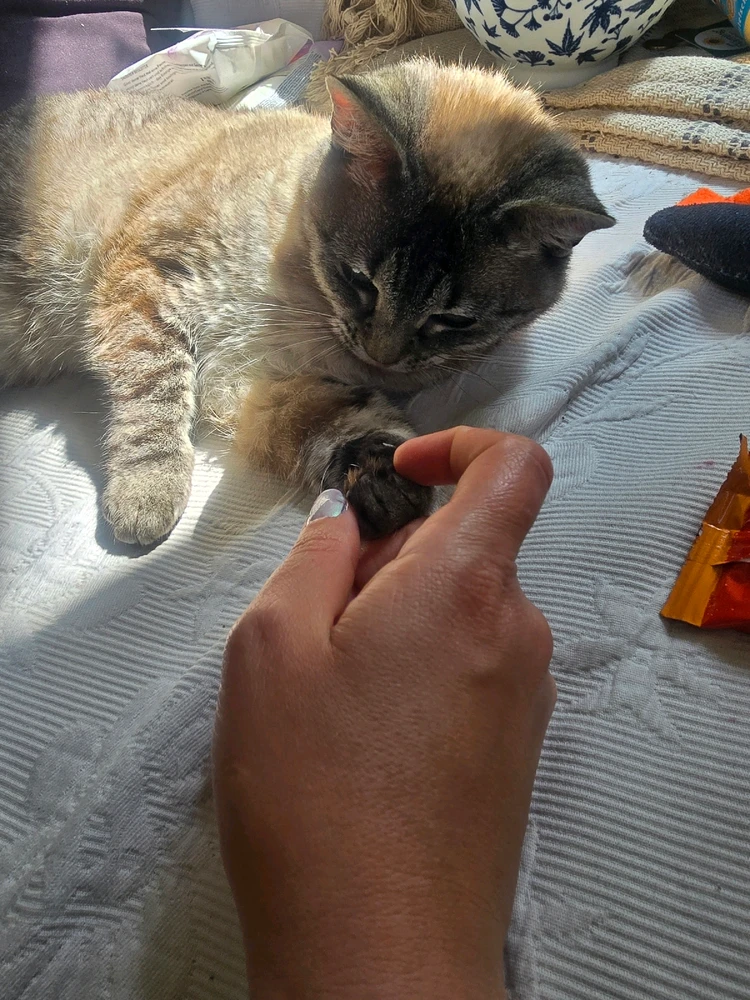 Bild hochgeladen von Jule