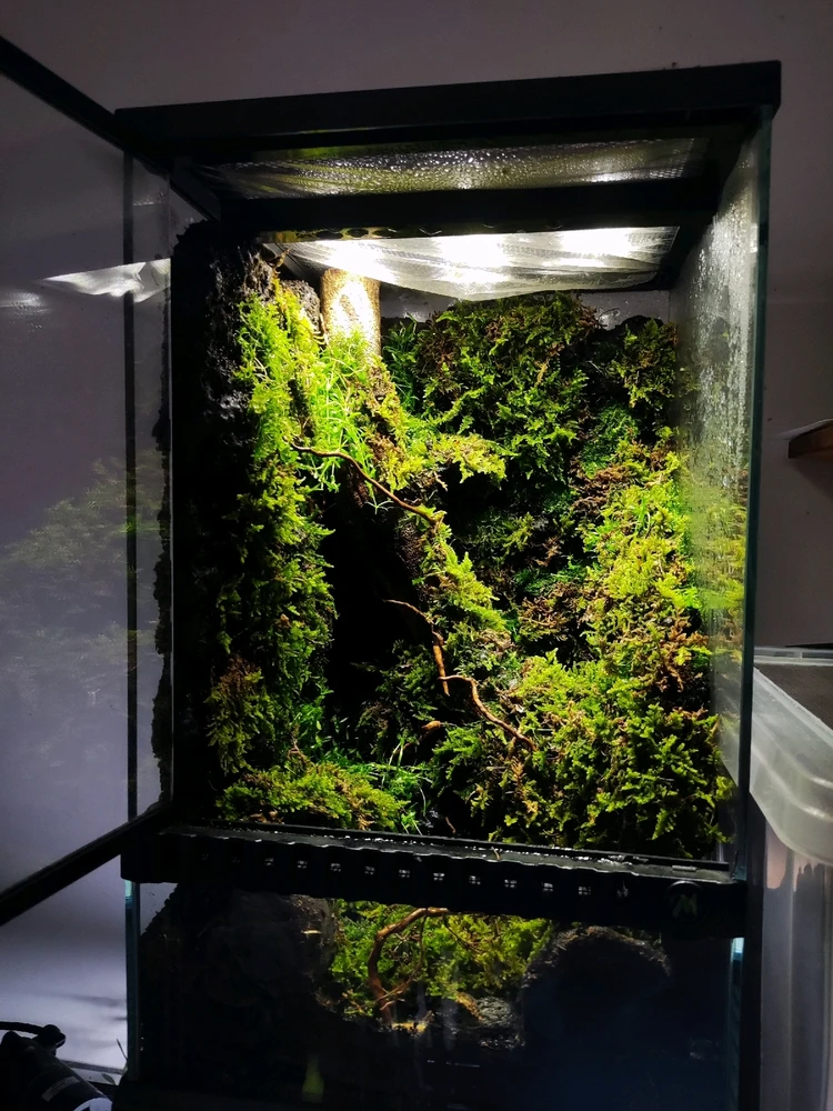 Image uploaded by Yunyi