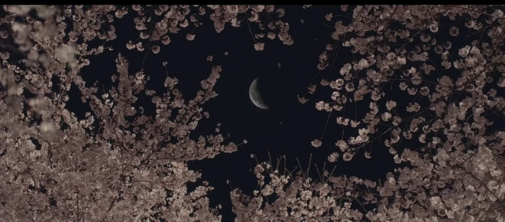 ###вселенная