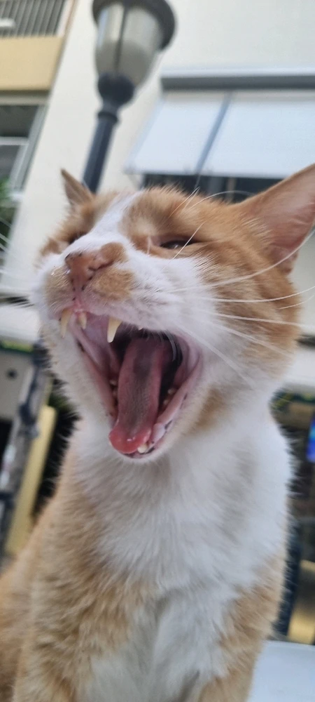 Cansın tarafından yüklenen görsel