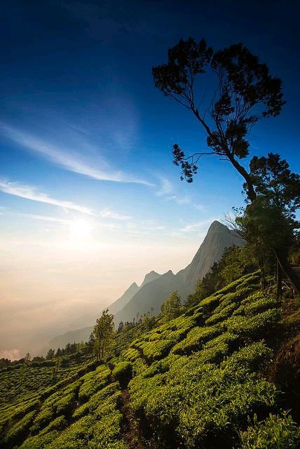 Image uploaded by John