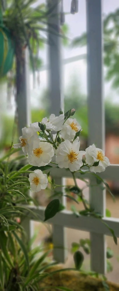 Ảnh do Hannah tải lên