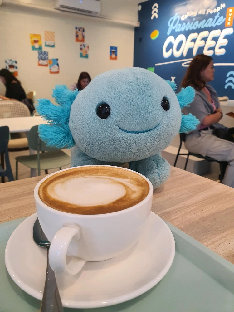 Image uploaded by Jolo