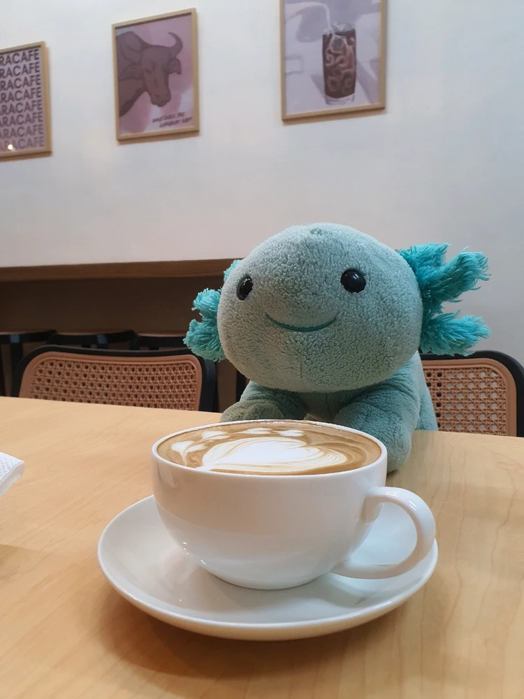 Image uploaded by Jolo