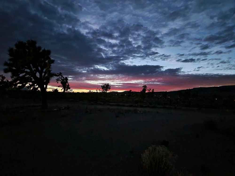 Image uploaded by Robert