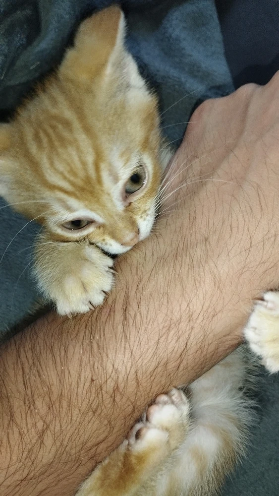 Obrázek nahrál Michal