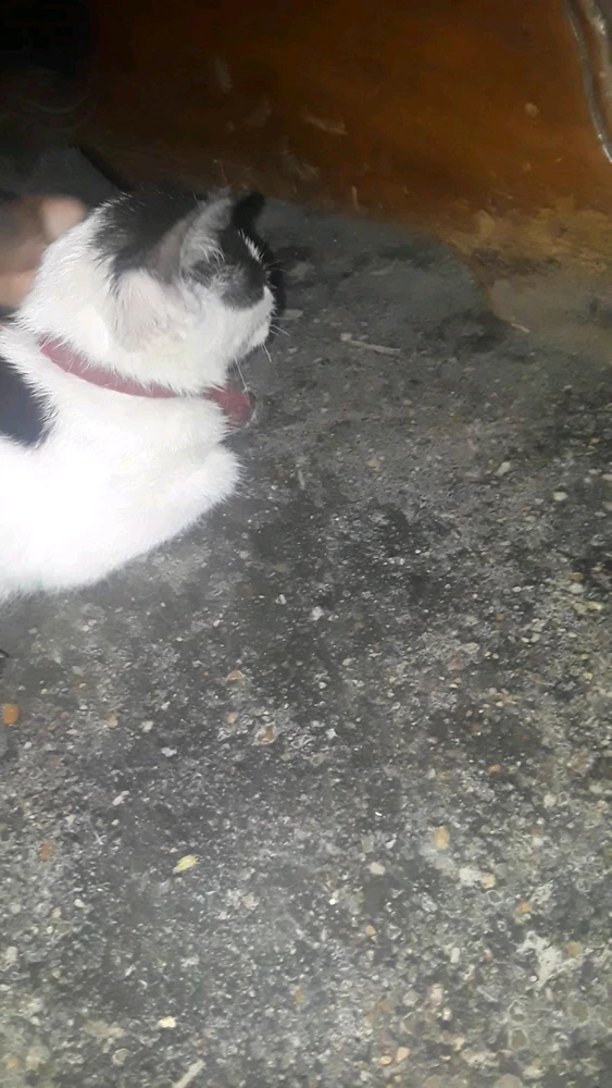 Image ajoutée par Hile