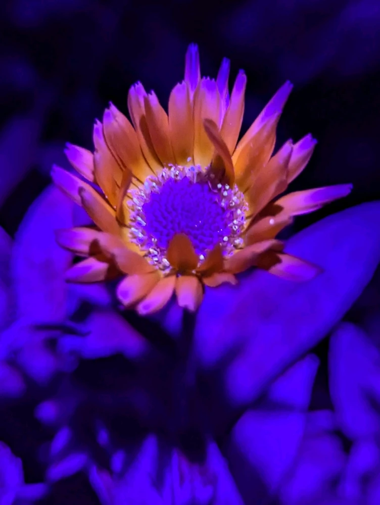 Image uploaded by Agata J.