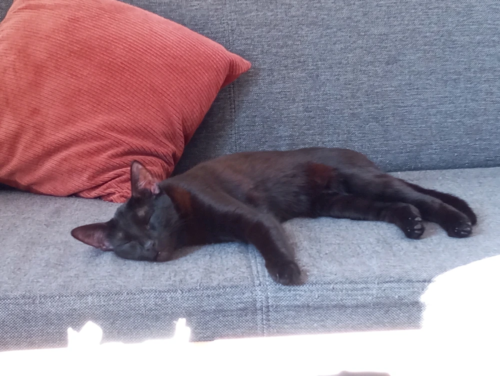 Obrázek nahrál Jakub