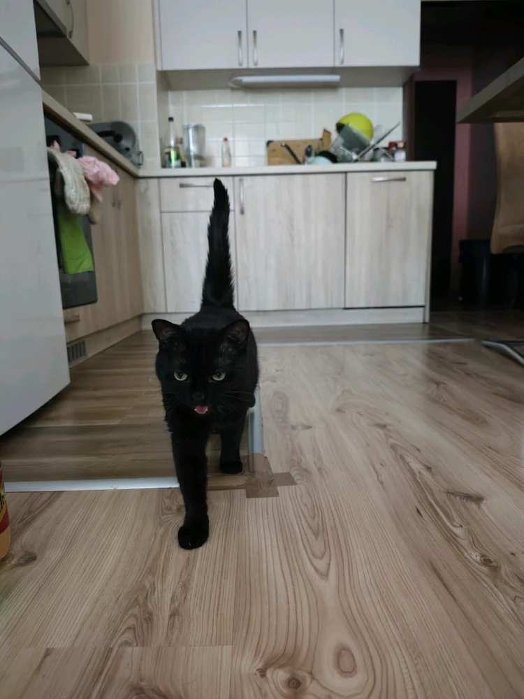 Image uploaded by Savage