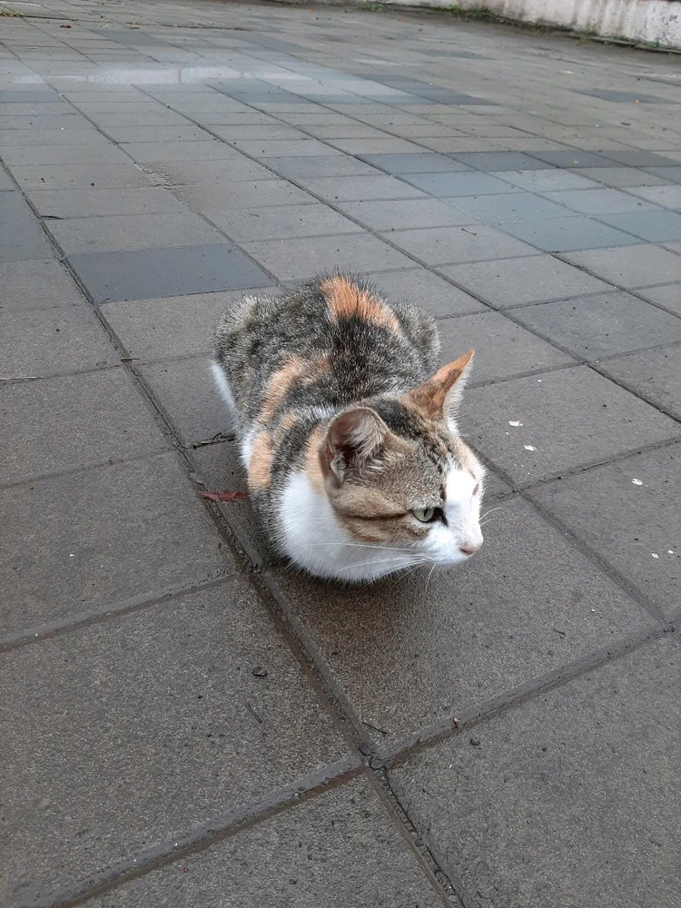 Image uploaded by Abhishek