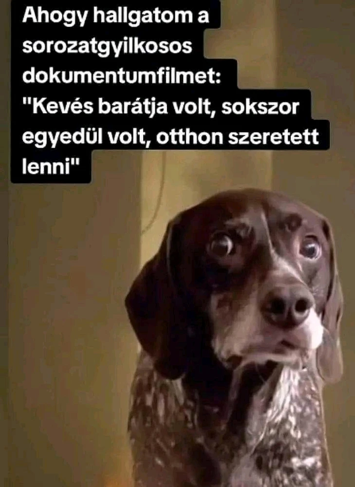 Dona 🦝👻🦝 által feltöltött kép