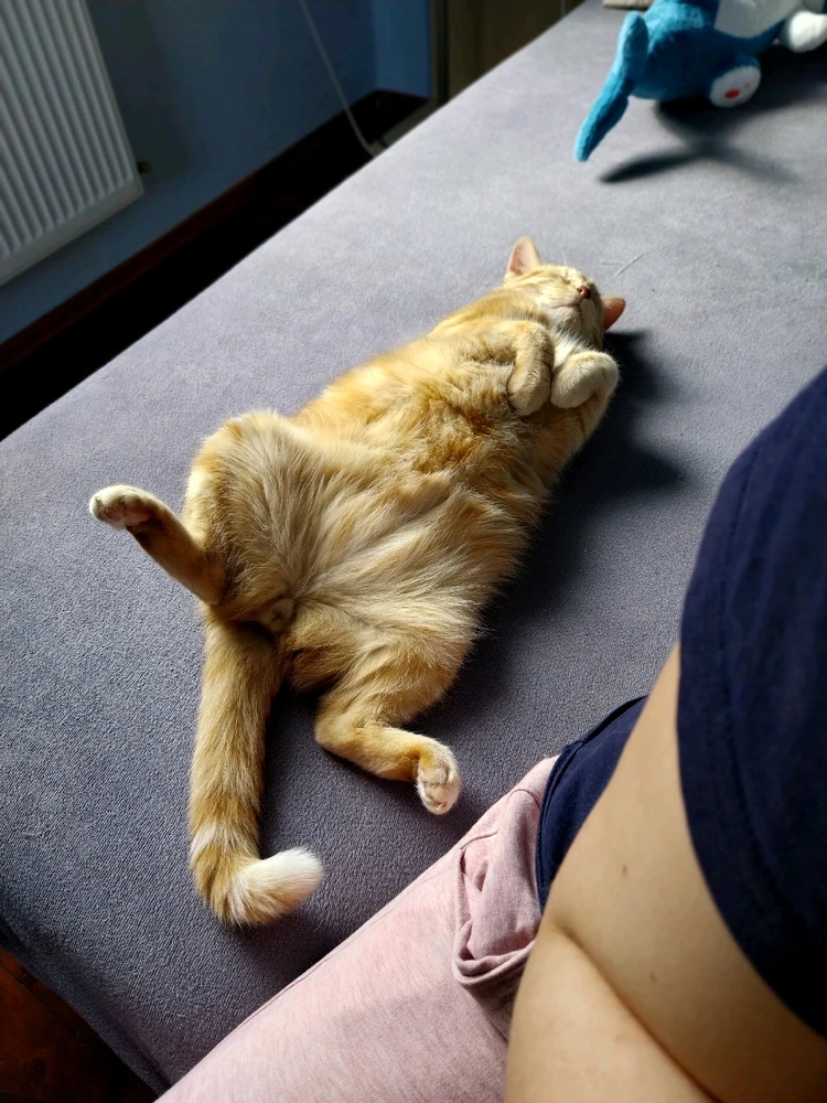 Obrázek nahrál Štěpánka H.