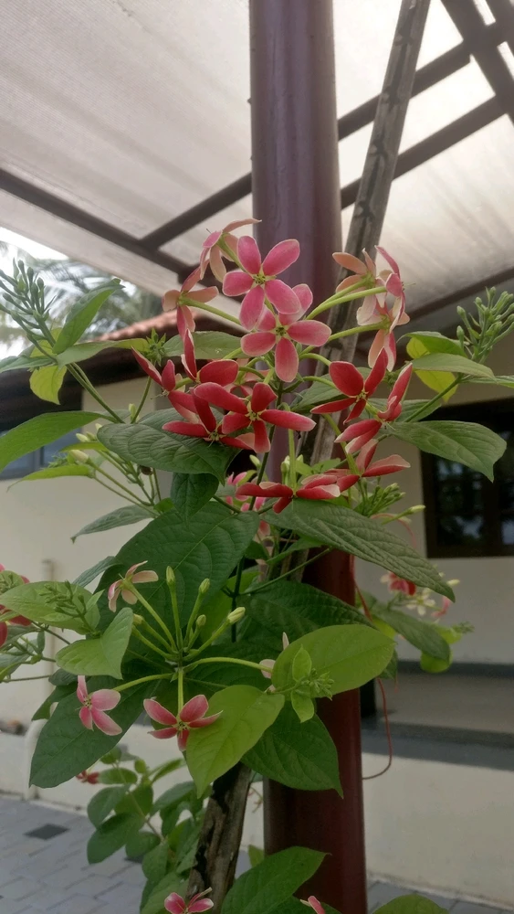 Jaik द्वारा अपलोड की गई तस्वीर