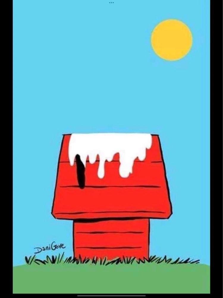 Immagine caricata da ꪑꪖ᥅ᥴꪮ🦉