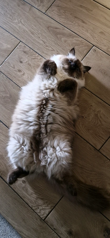 Zdjęcie dodane przez Spajker