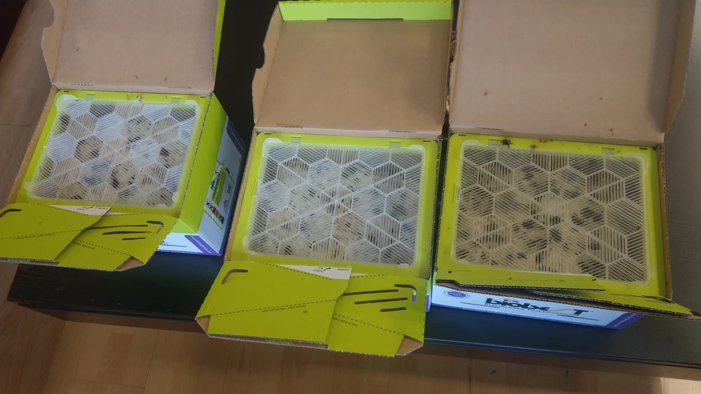 Εικόνα από Φίλιππος