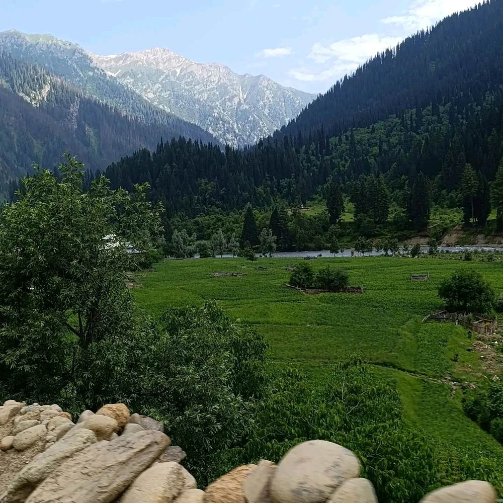 Image uploaded by Karam