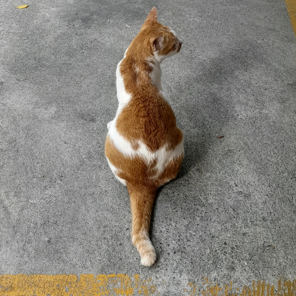 รูปที่อัพโหลดโดย 7113