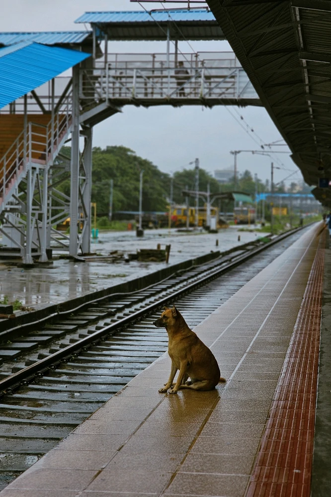 Image uploaded by Hari