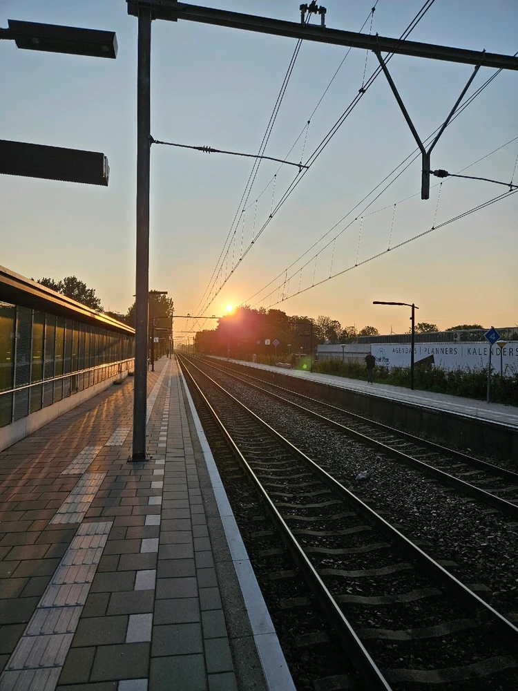 Afbeelding geüpload door Michel