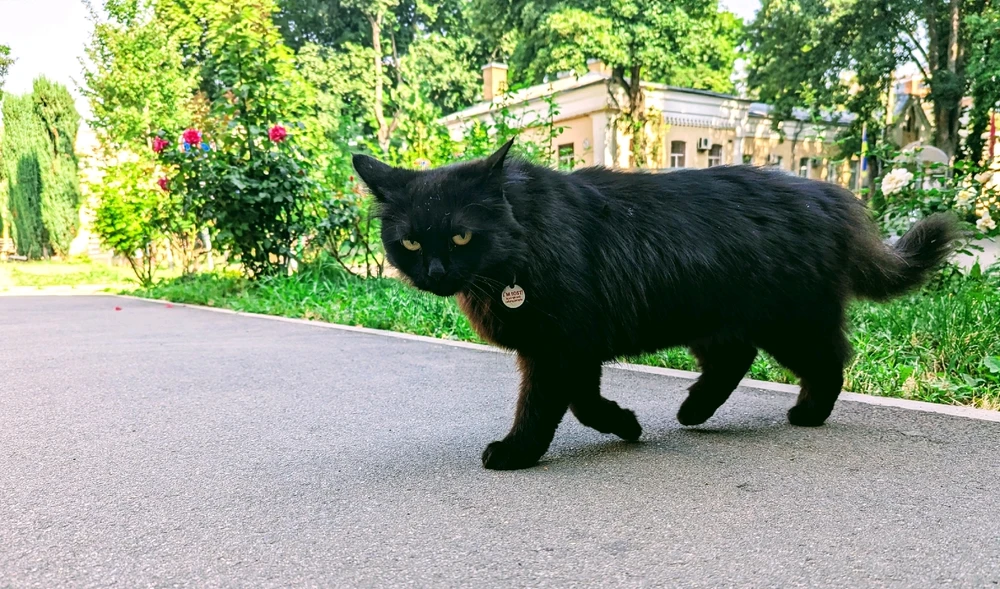 Зображення завантажив Віталій