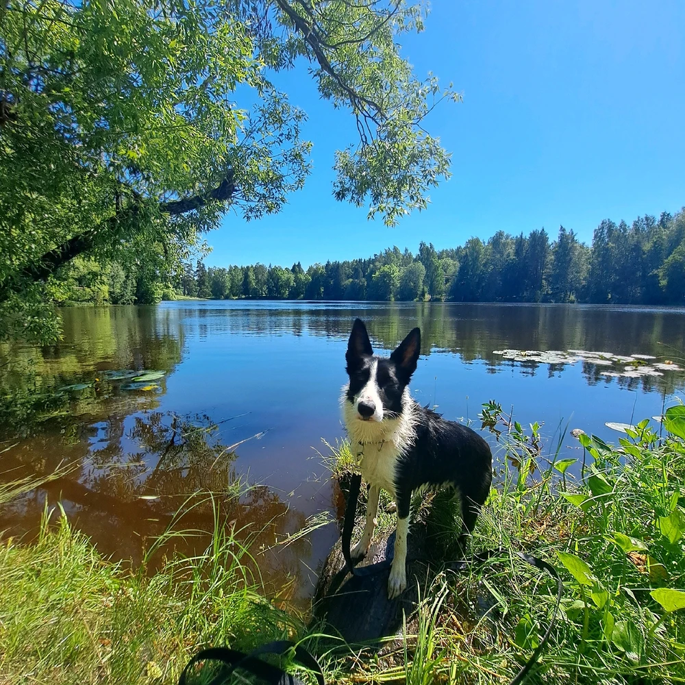 Image uploaded by Любовь