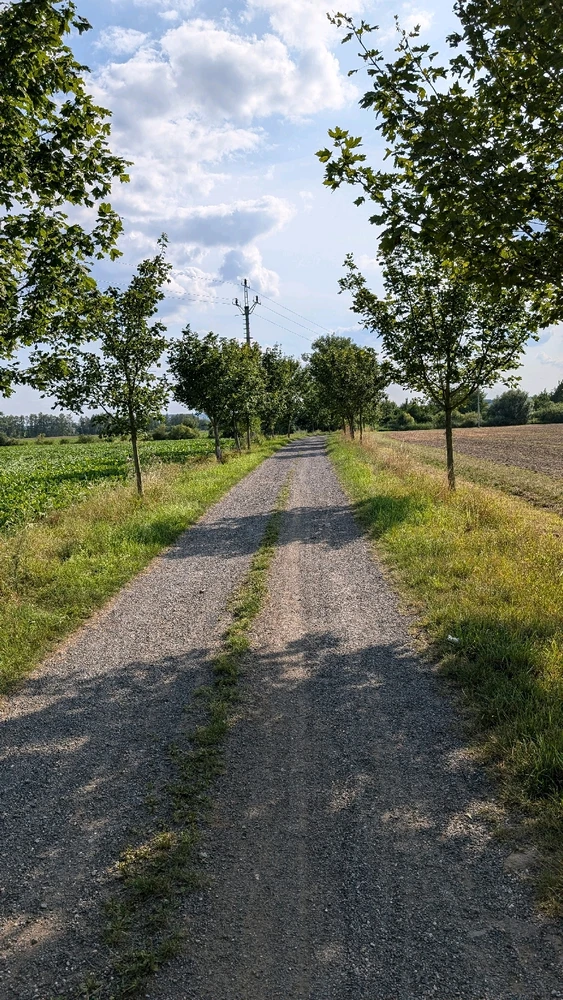 Obrázek nahrál Matěj