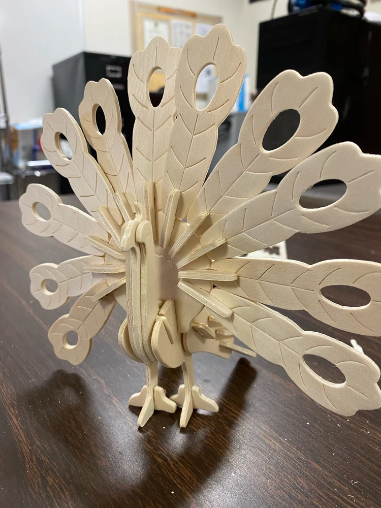 First time putting together something like this, not too shabby! This was easier than it looked!