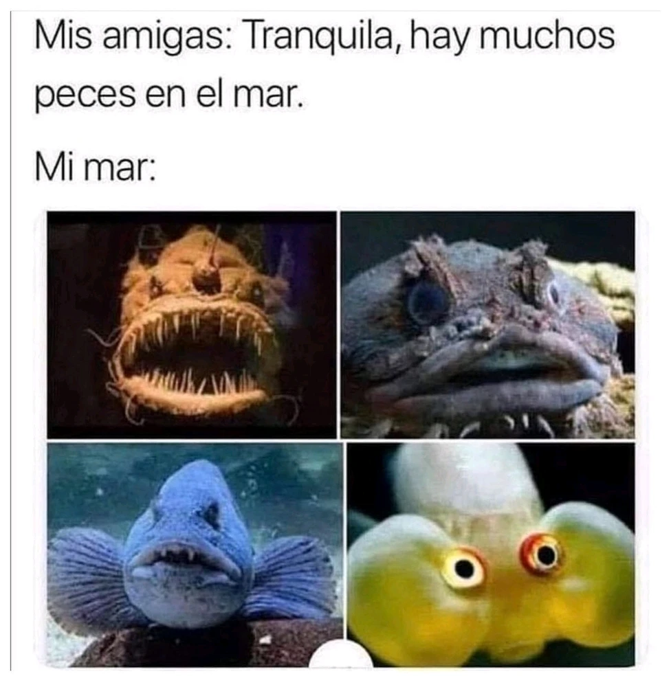 Imagen subida por Gerbi