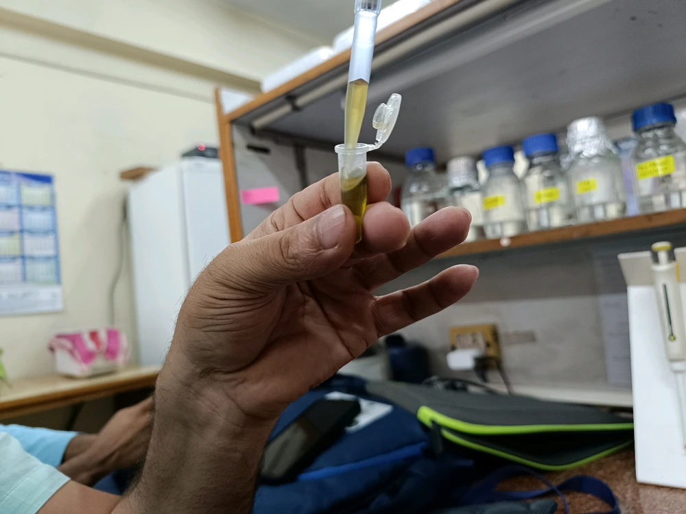 Image uploaded by Bindeswar Saha