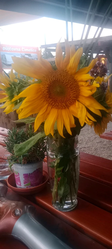 Obrázek nahrál Michaela