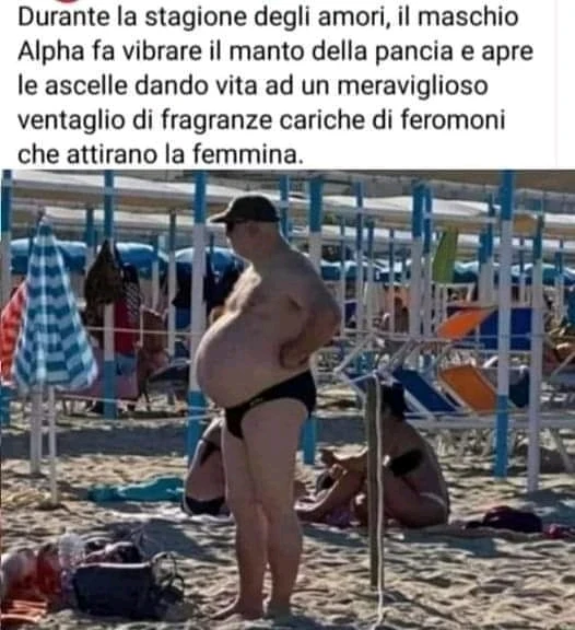 Immagine caricata da Valentino