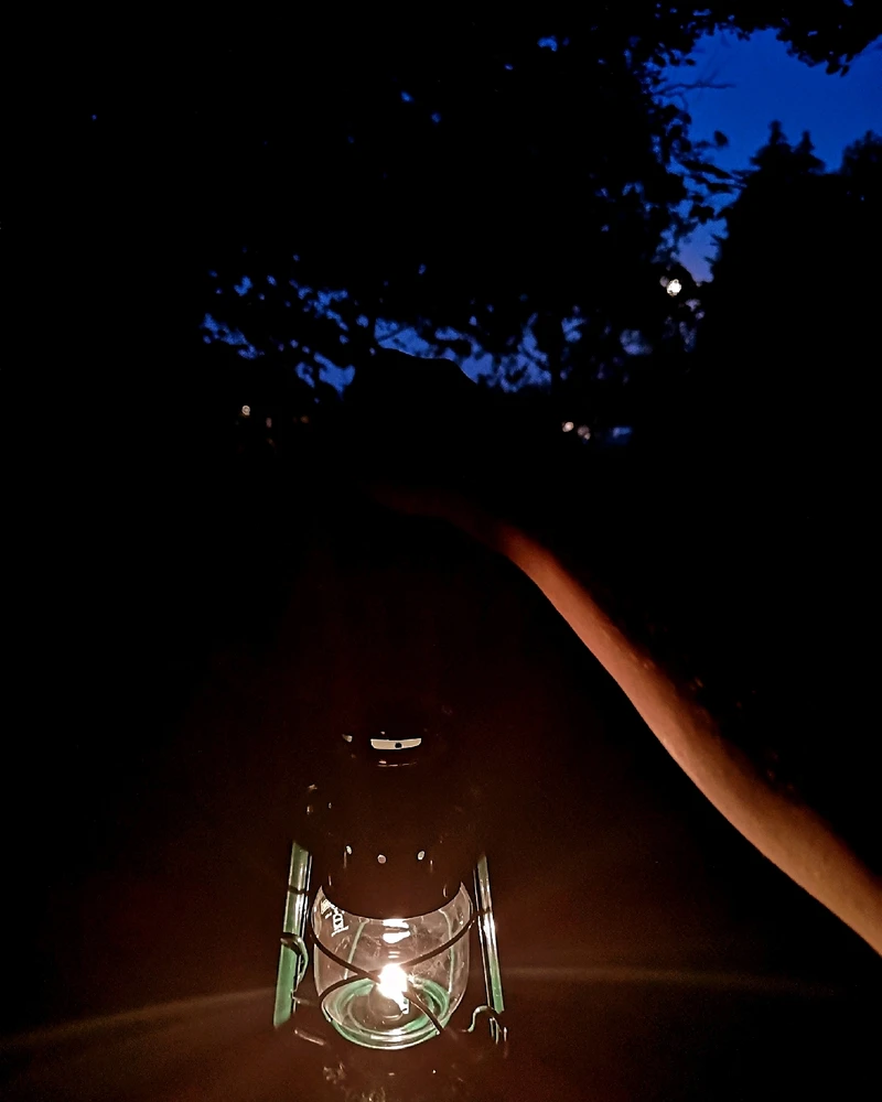 🕊️
🙌
💚🍀