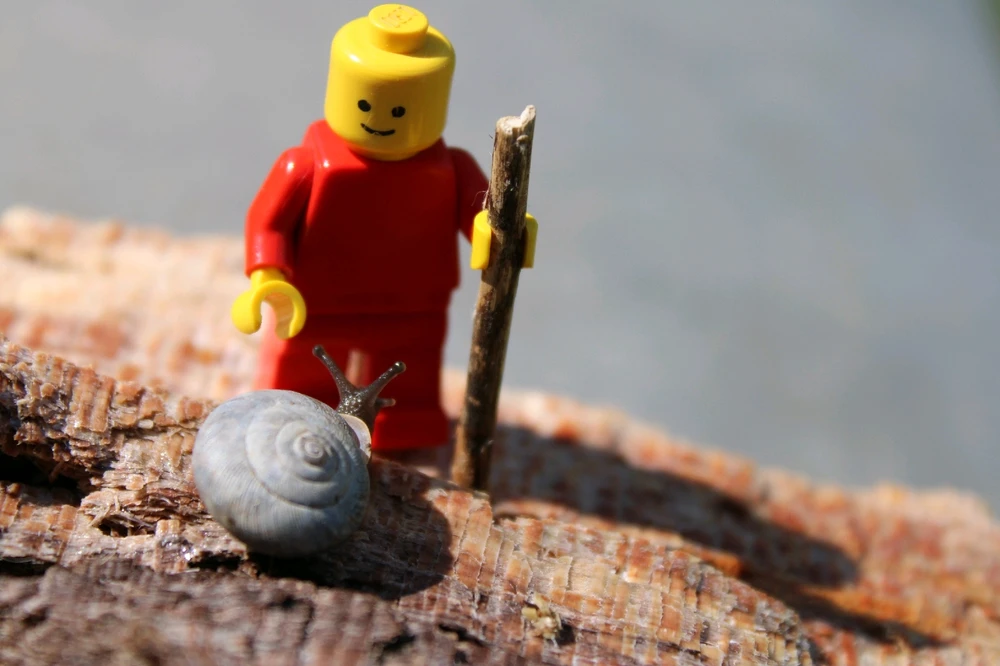 Image uploaded by Josh