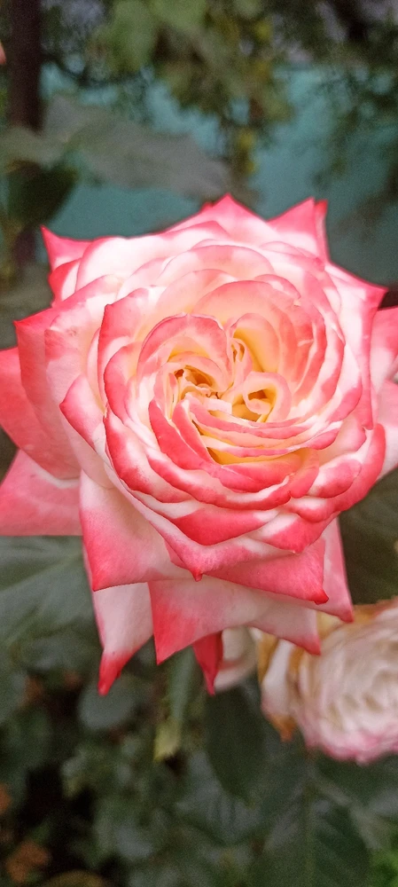 Фото загрузил Юлия