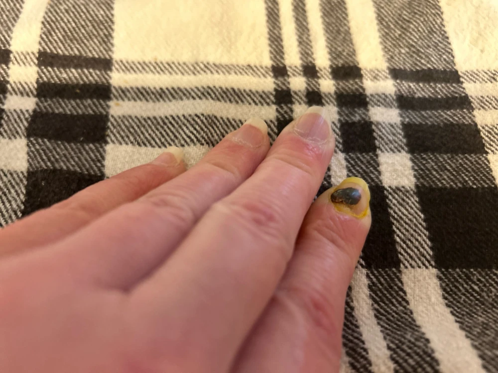 Image uploaded by Amanda