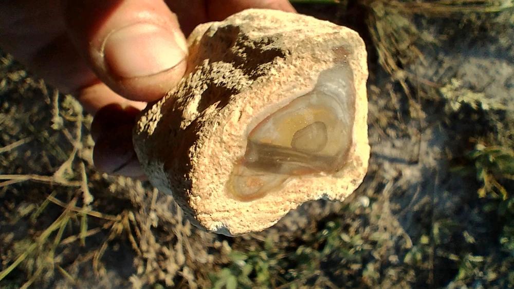 Зображення завантажив Oleh