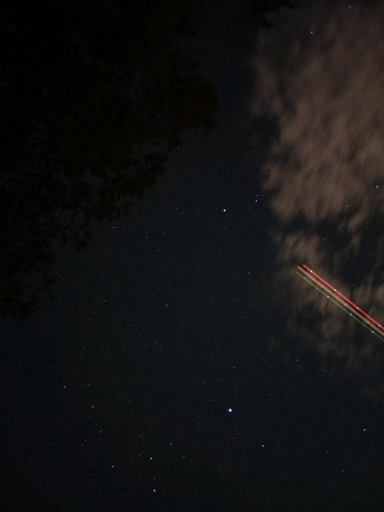 Image uploaded by Primo