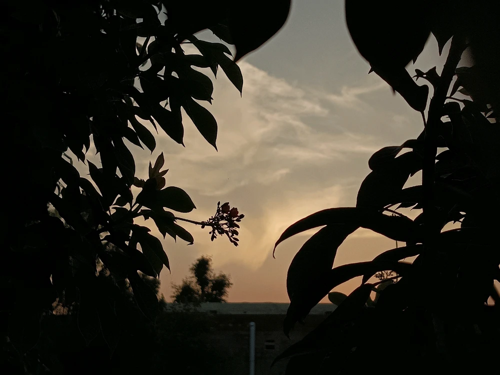 تصویر آپلود شده توسط Ali